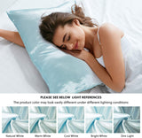 Satin Pillowcase (2 Pack) Queen Size (20x30 inches)